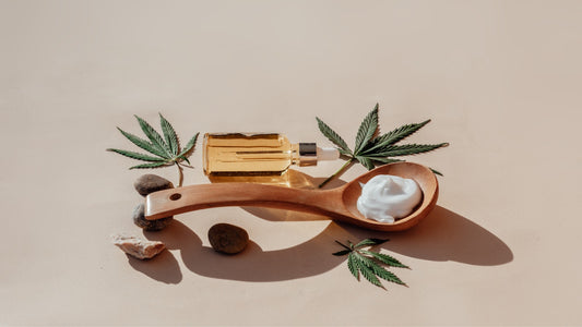 ¿ Qué es CBD?
