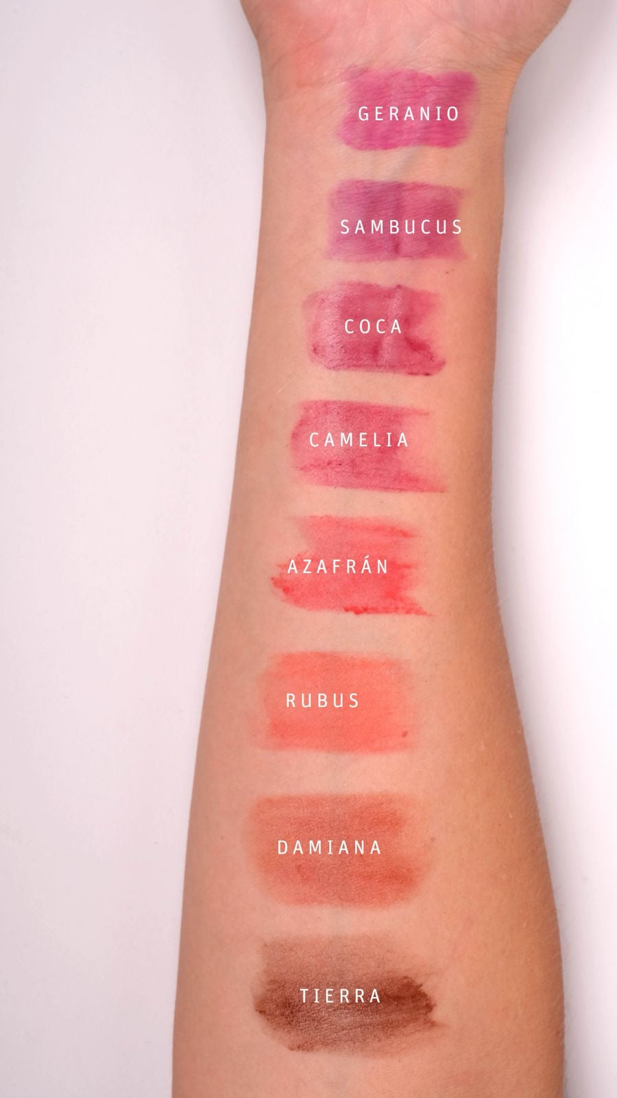 Maquillaje Botánico